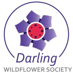 Darling Wildflower Society