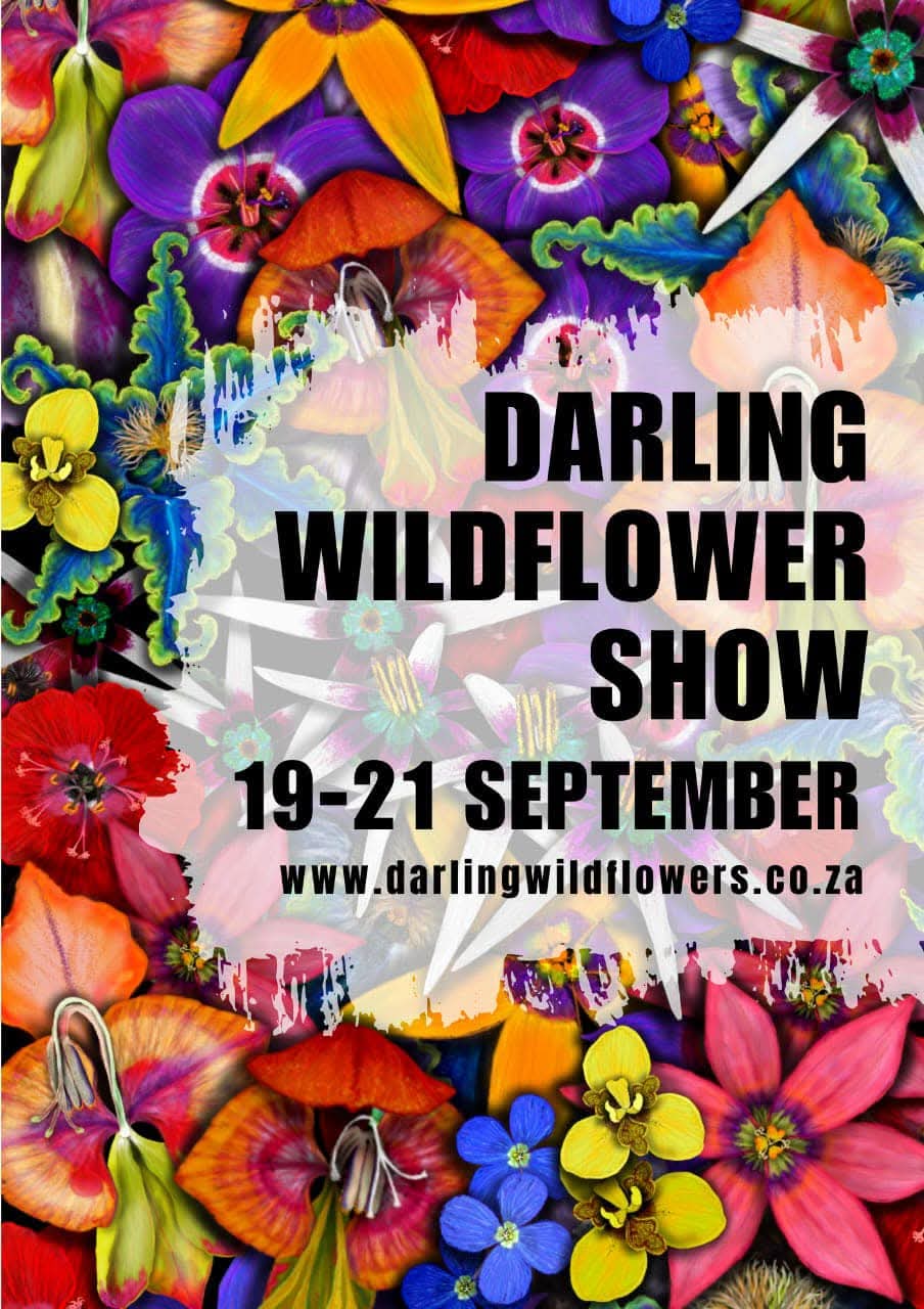 Save the Date… – Darling Wildflower Society